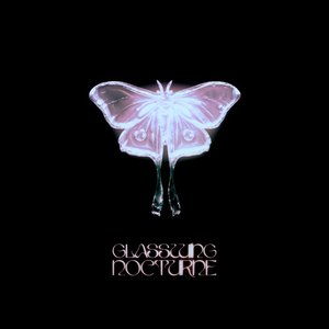 Glasswing Nocturne