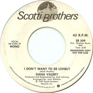 I Don't Want To Be Lonely