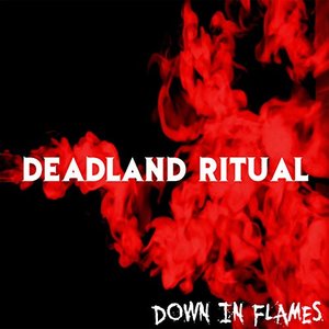 Down in Flames - Single