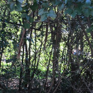 Belgum Trail 的头像