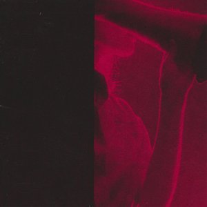 Image for 'Tenderness'