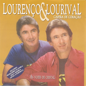 Artwork for Franguinho na Panela