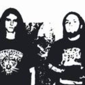 Katedra Patologii 的头像