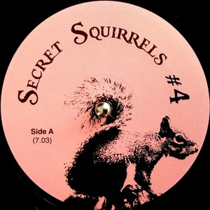 Аватар для Secret Squirrels