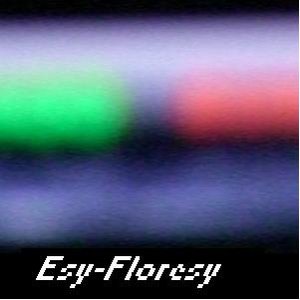 Esy-floresy
