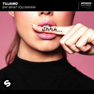 Say What You Wanna - Single