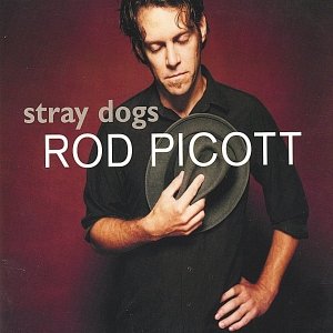 “Stray Dogs”的封面