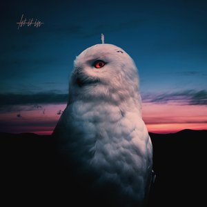 Idol Eyes - Single
