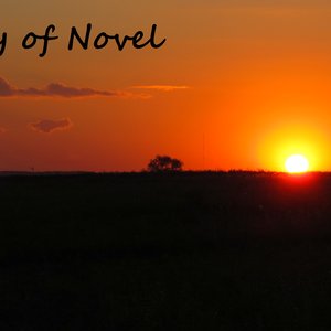 Avatar for History of Novel