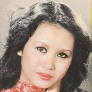 Avatar for Sơn Ca