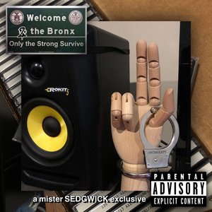 WELCOME 2 THE BRONX