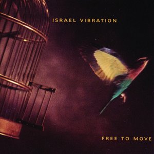 Image for 'Free to Move'