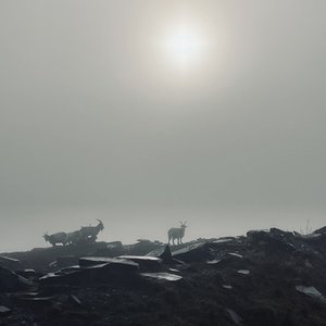 i shouldn't be here rn