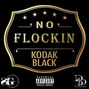 No Flockin - Single