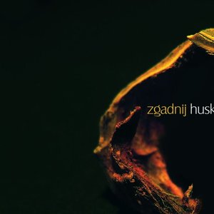 Image for 'Zgadnij'