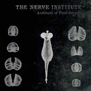 Architects of Flesh-Density