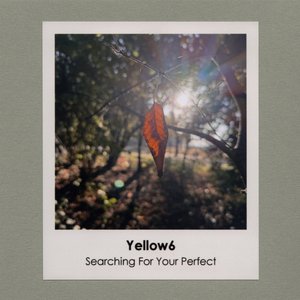 Searching For Your Perfect