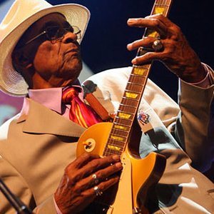 Hubert Sumlin & His Friends 的头像