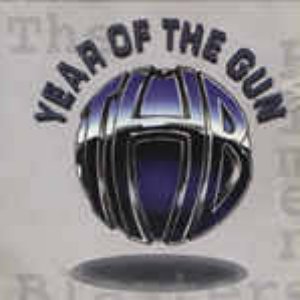 Year Of The Gun