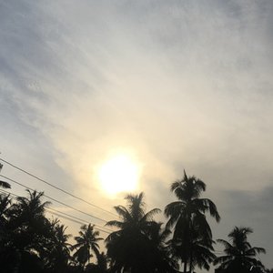 sunkissed