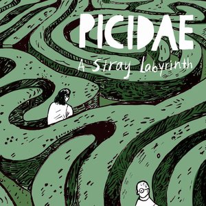 A Stray Labyrinth