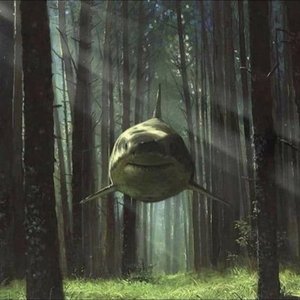 Flying Shark