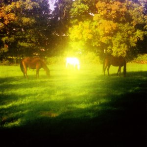 Valerie Webb & Paul LaBrecque 的头像