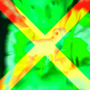 Avatar for Ram X