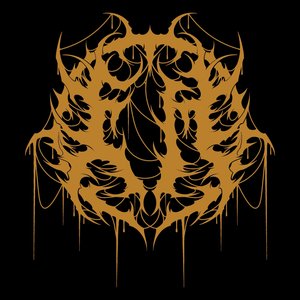 Echoes Of Maleficium 的头像