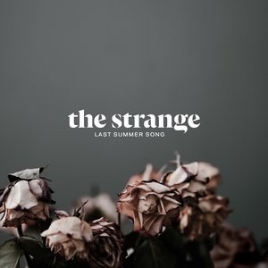 Last Summer Song