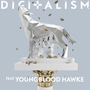 Digitalism feat. Youngblood Hawke のアバター