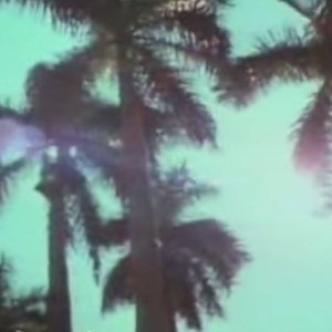 MAMAIA_2084 的头像