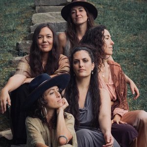 Starling Arrow 的头像