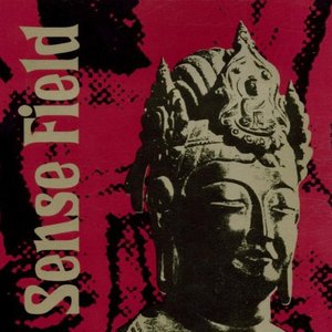 Sense Field [Explicit]