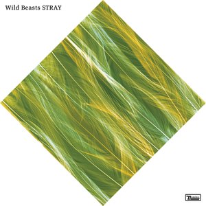 Stray - Single