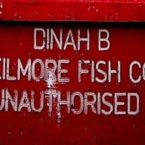 Avatar for Dinah Bird