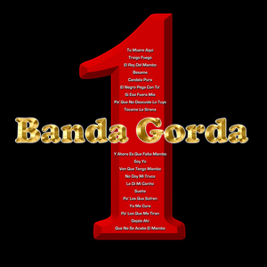 La Banda Gorda - 1 - Zortam Music