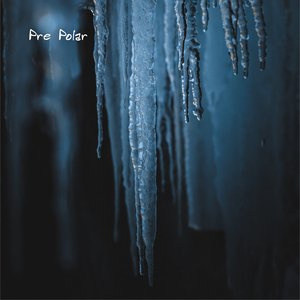 Pre Polar 的头像
