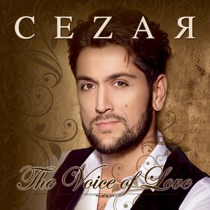 The Voice Of Love