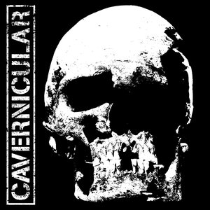 Cavernicular