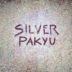 Silver Fairy