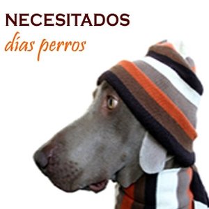 Avatar for necesitados