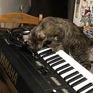 EXEDO 的头像