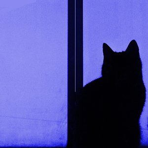 aCAU için avatar