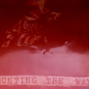 Counting The Ways