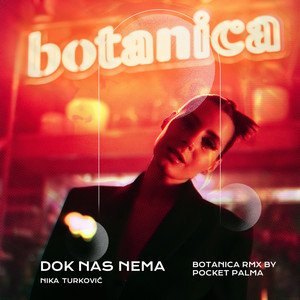 Dok Nas Nema (Pocket Palma Botanica Remix)