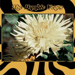 The Bumble Years