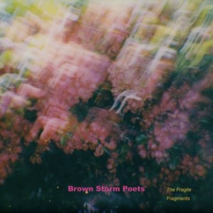 “Brown Storm Poets”的封面