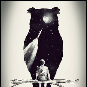 FVLLENOWLS 的头像