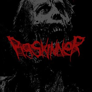 Pigskinner 的头像